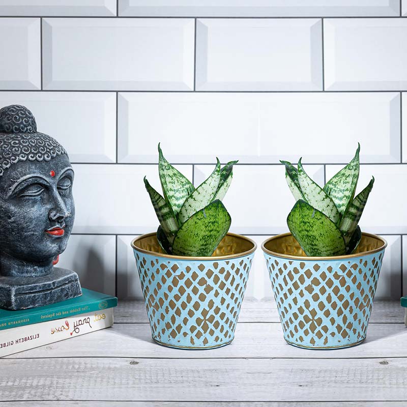Turquoise Tranquility Planter | Set of 2 Default Title