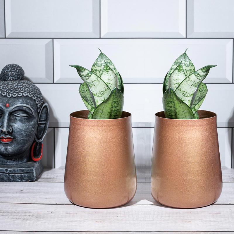 Bronze Blossom Planter | Set of 2