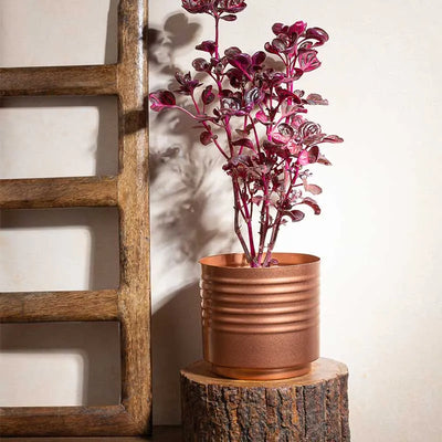 Copper Finished planter | Plant Not Included