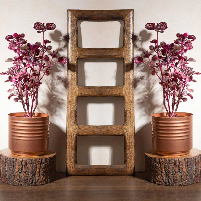 Copper Contour Planter | Set of 2