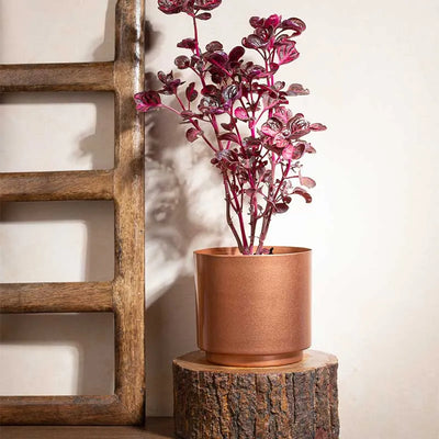 Copper Luster Planter | 5 Inch