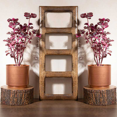 Copper Glow Planter | Set of 2