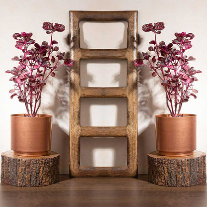 Copper Glow Planter | Set of 2