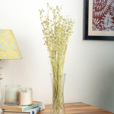 Tishi Natural Dried Botanical Grass Bundle | 21 inches