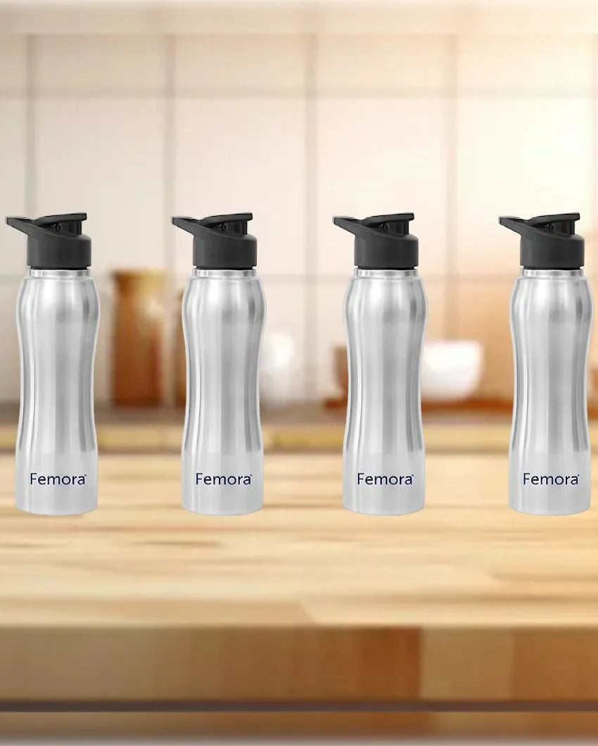 Stainless Steel Water Bottle With Sipper Cap | 750 Ml Set of 4