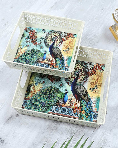 Vibrant Colorful Peacock White Tray | Set of 2