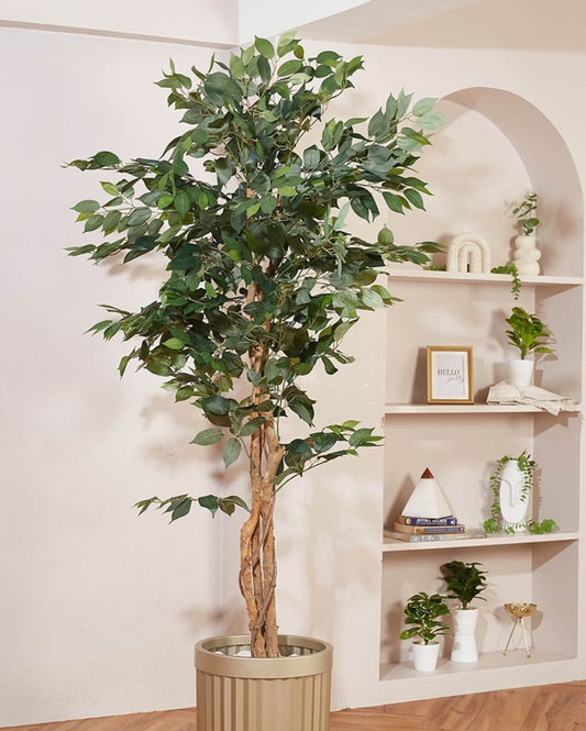 Artificial Dried Ficus Plant | 6 Ft.