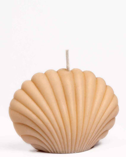 Serene White & Lavender Seashell Candles | Set of 2 | 4 x 2 x 3 inches