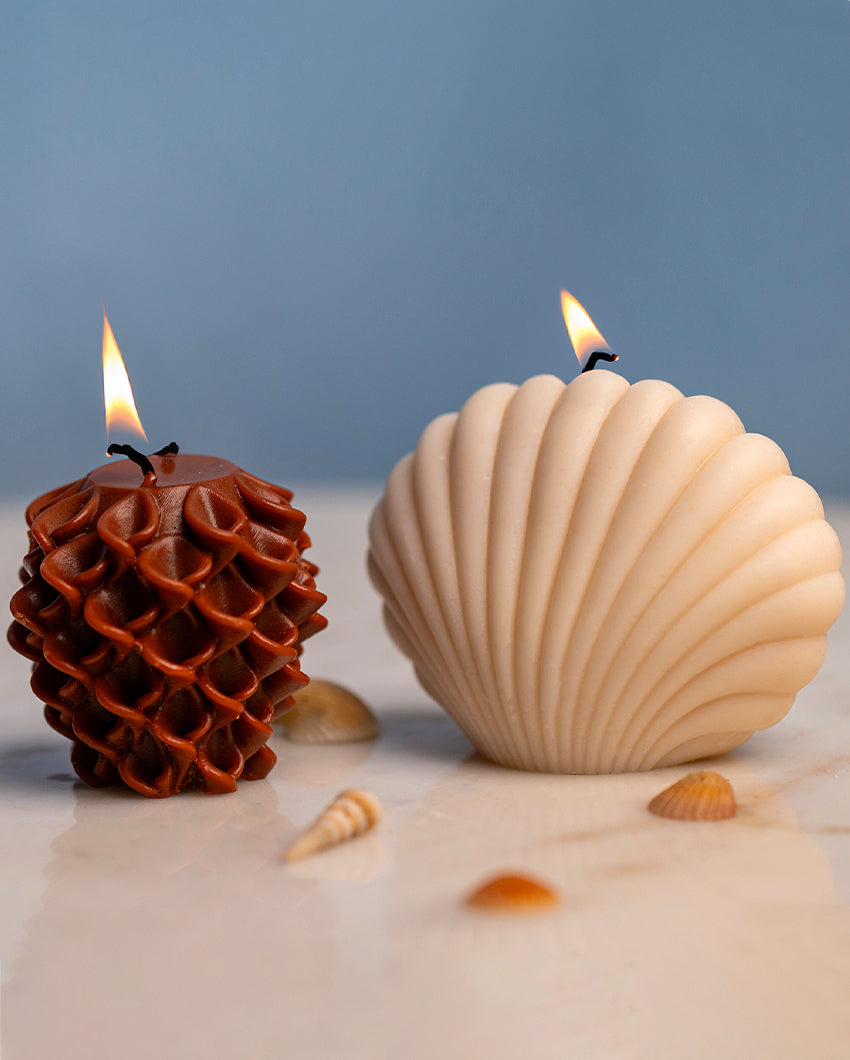 Artistic Brown & White Glory Flower and Seashell Candles | Set of 2