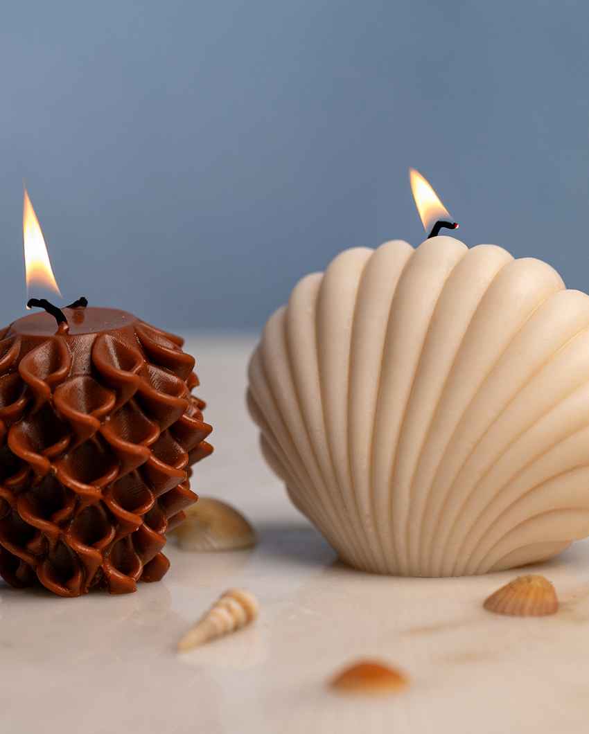 Artistic Brown & White Glory Flower and Seashell Candles | Set of 2