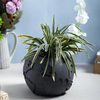 Classic Circular Shape Globus Concrete Planter | 5 x 5 x 3 inches