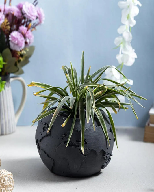 Classic Circular Shape Globus Concrete Planter | 5 x 5 x 3 inches