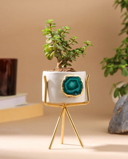 Agate Ceramic Planter With Stand | Planter Only Plant Not Included | 3 x 5 inches