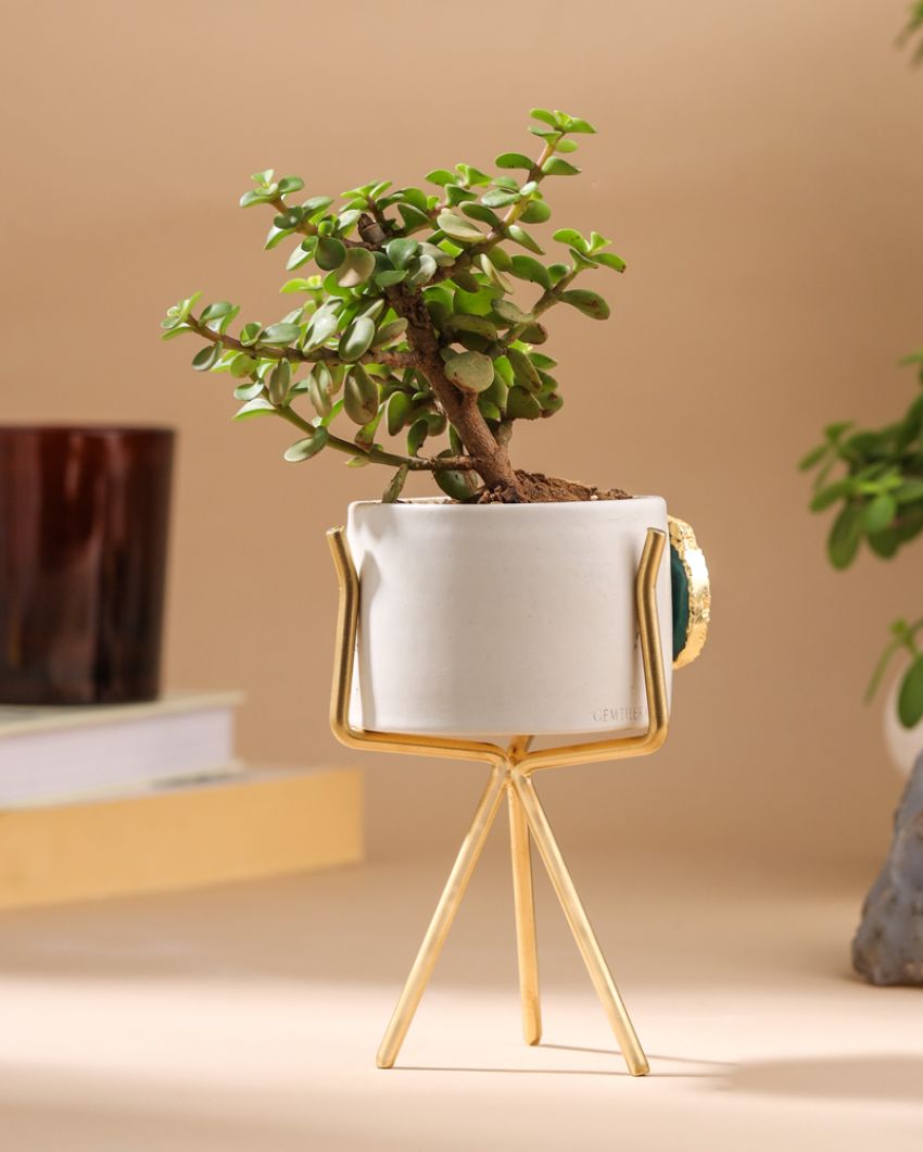 Agate Ceramic Planter With Stand | Planter Only Plant Not Included | 3 x 5 inches