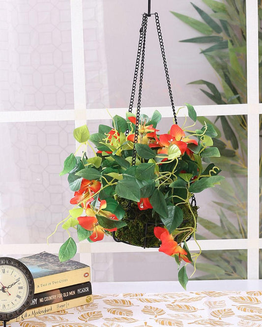 Bougainvillea Hanging Flower with Pot & Metal Basket | 7 inches