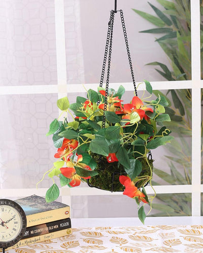 Bougainvillea Hanging Plant Flower with Pot & Metal Basket | 7 inches