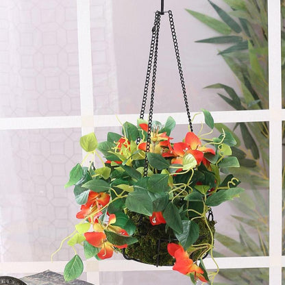 Bougainvillea Hanging Plant Flower with Pot & Metal Basket | 7 inches