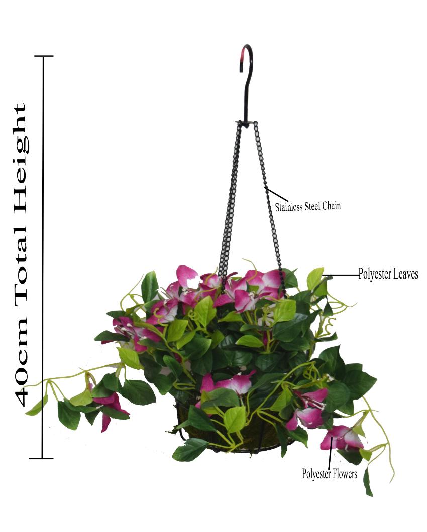 Bougainvillea Hanging Flower with Pot & Metal Basket | 7 inches