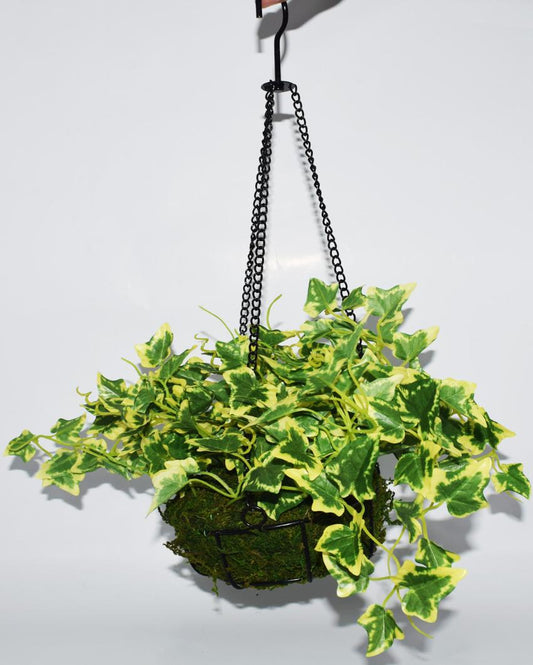 Huerto Hanging Flower with Pot & Metal Basket | 7 inches