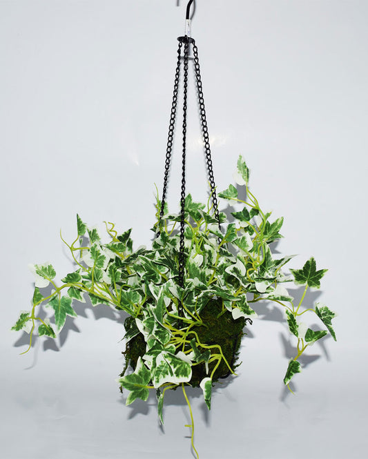 Bosque Hanging Flower with Pot & Metal Basket | 7 inches
