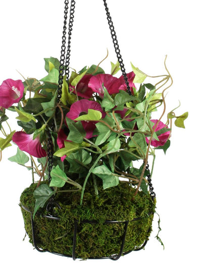 Morning Glory Hanging Flower with Pot & Metal Basket | 7 inches