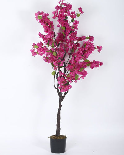 Artificial Bougainvillea Plastic Plants With Pot | 5.25 Feet