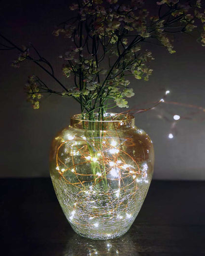 Elegant Modern Decorative Glass Vases | 8 x 5 inches