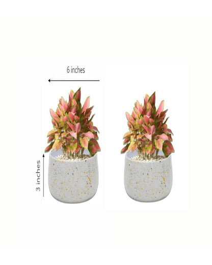 Stylish Speckled Metal Planter Without Plant | Set of 2 | 6 x 3 inches