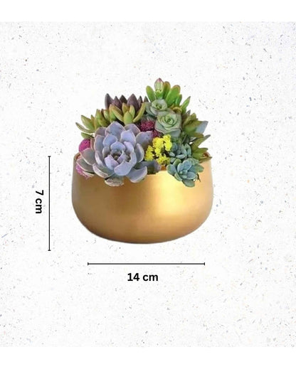 Stylish Drainage Hole Metal Plant Pots Without Plant | Set of 2 | 6 x 3 inches