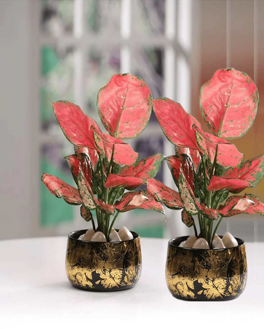 Elegant Handi Planter Pots Without Plants | Set of 2