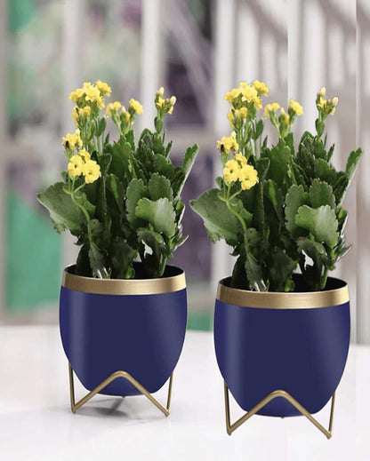 Compact Table Pot With Stands Without Plant | Set of 2 | 6 x 5 inches