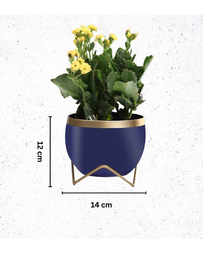 Compact Table Pot With Stands Without Plant | Set of 2 | 6 x 5 inches