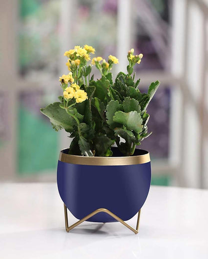 Compact Table Pot With Stands Without Plant | Set of 2 | 6 x 5 inches