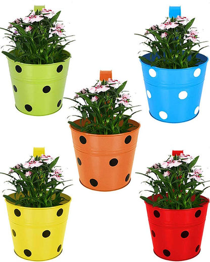 Polka Dotted Galvanized Design With Hooks For Hanging Planter Pot Mugs | Pack of 5 | 6 x 11 inches