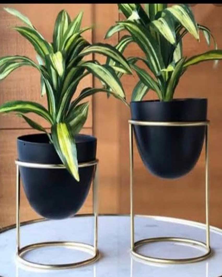 Elegant Metal Design Stand With Planter Pot Without Plant | Pack of 2