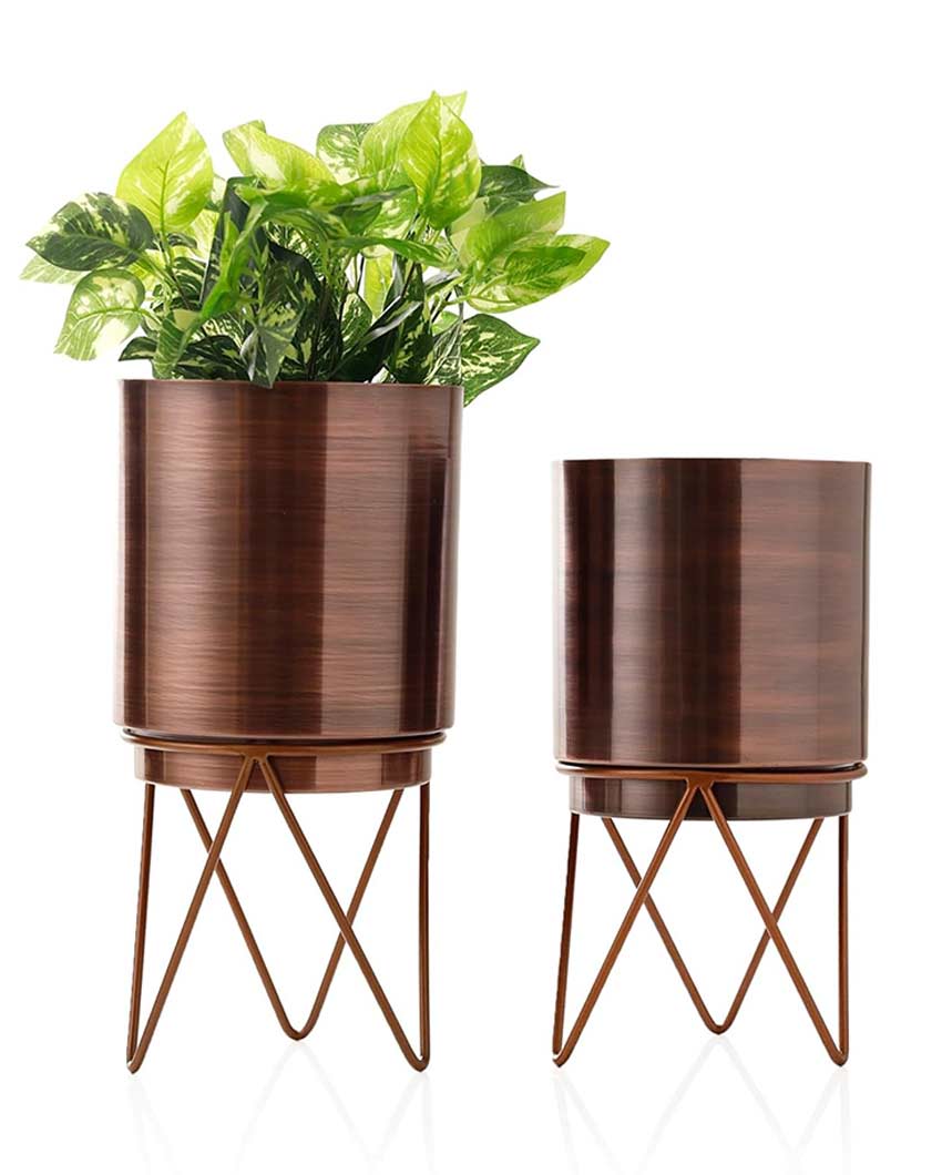 Elegant Antique Elie Design Stand With Planter Pot Without Plant | Pack of 2