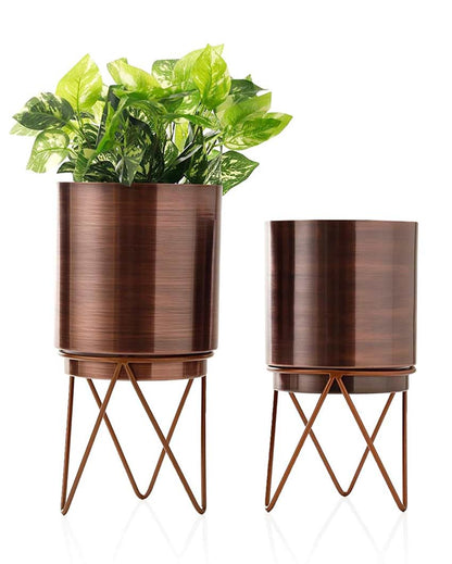 Elegant Antique Elie Design Stand With Planter Pot Without Plant | Pack of 2