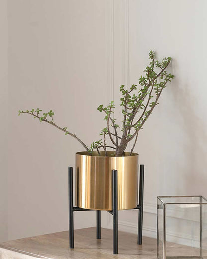 Contemporary Cylindrical Design Stand With Planter Pot Without Plant | 7 x 10 inches