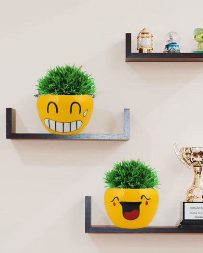 Cute Expressions Face Emoji Plant Flower Pot | Set Of 2 | 5 x 4 inches