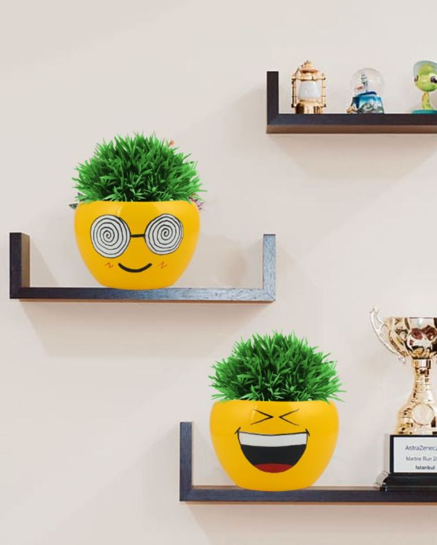 Funny Expressions Face Emoji Plant Flower Pot | Set Of 2 | 5 x 4 inches