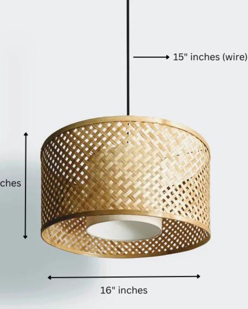 Classic Yet Contemporary Ceiling Lamp | 16 x 8 inches