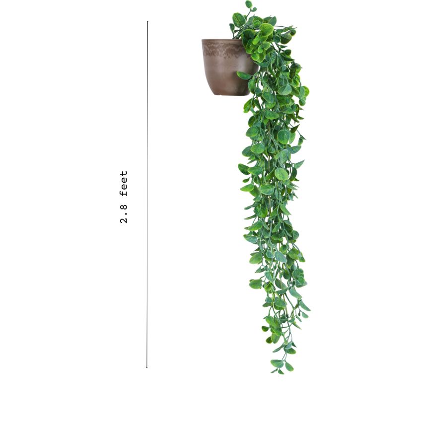 Graceful Artificial Potted Hanging Green Bush | Set of 2 | 2.8 feet