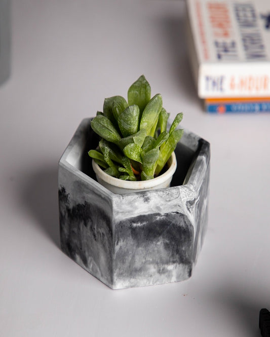 Modern Hexagonal Style Hexo Concrete Planter | 4 x 4 x 3 inches