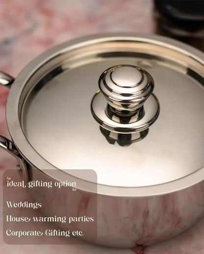 Essential Triply Stainless Steel Stock Pot with Lid