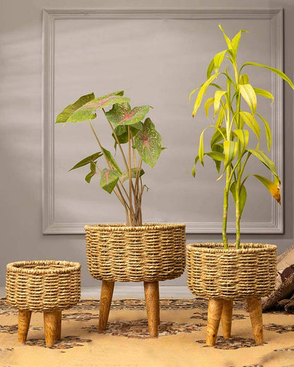 Hearth Jute Planter | Set Of 3 | Plant not included