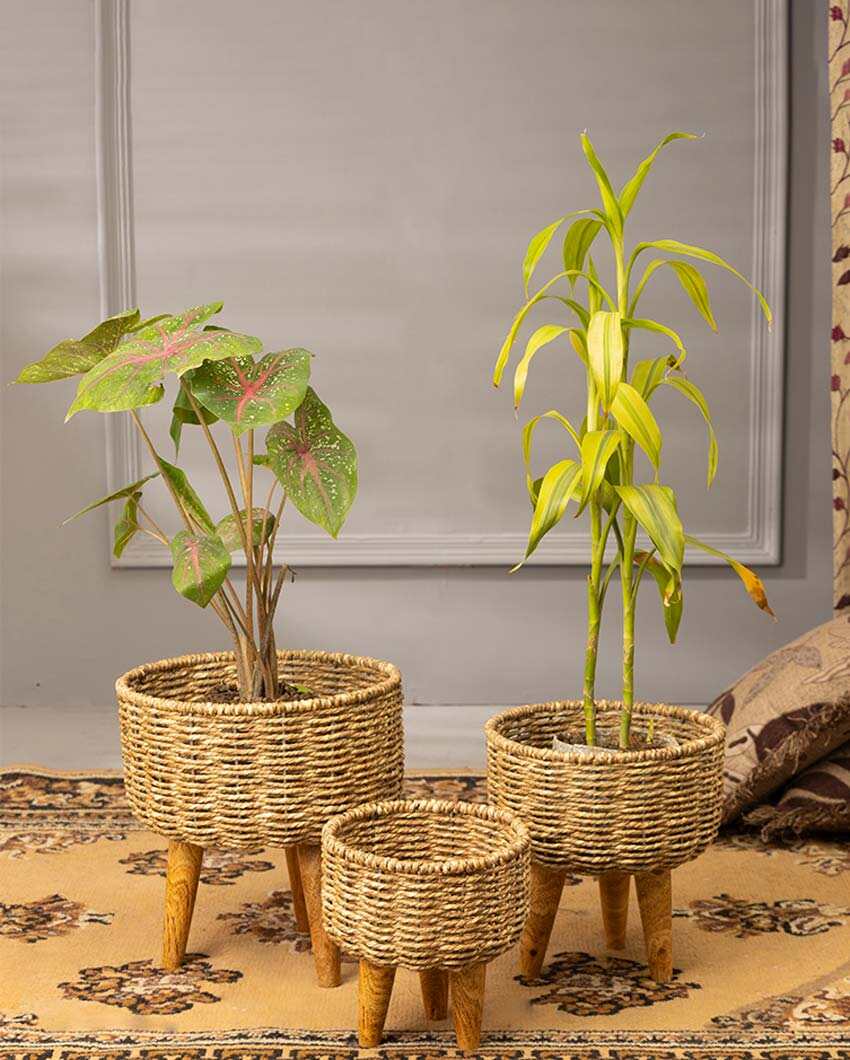 Hearth Jute Planter | Set Of 3 | Plant not included