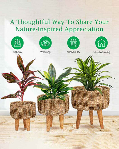 Hearth Jute Planter | Set Of 3 | Plant not included