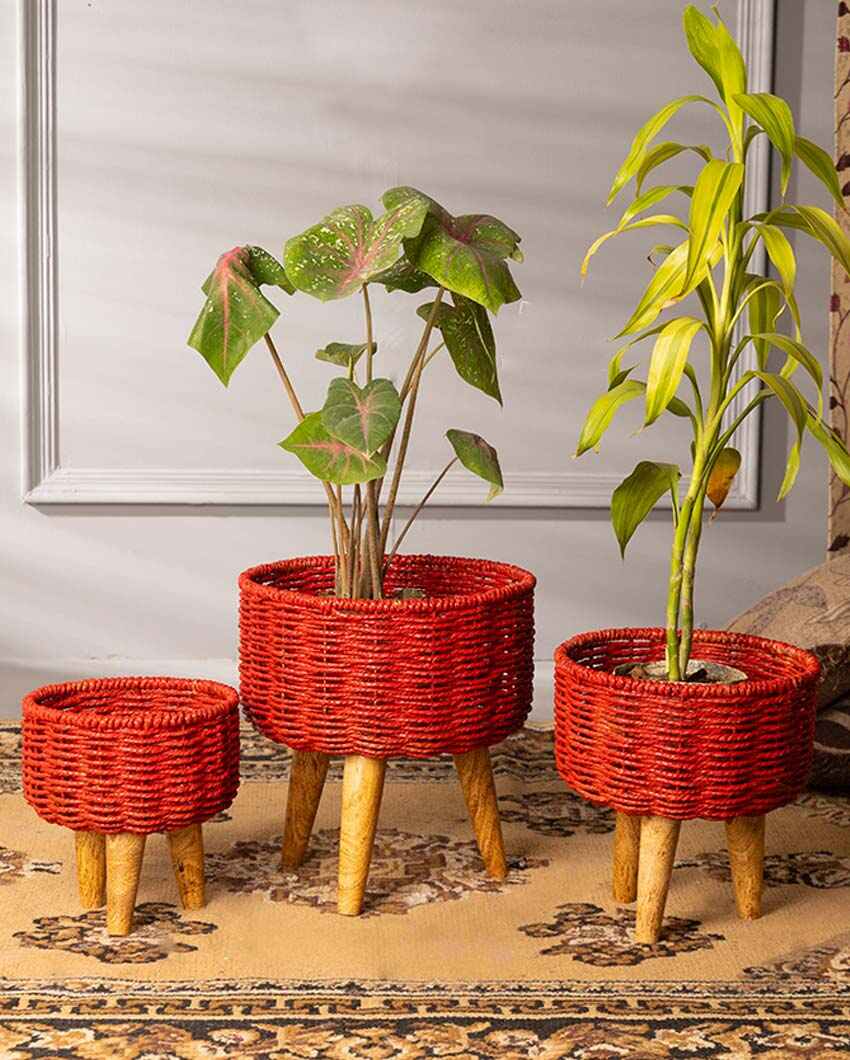 Hearth Jute Planter | Set Of 3 | Plant not included