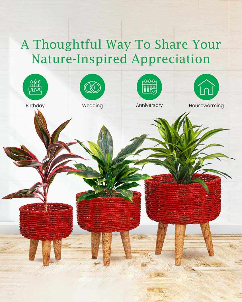 Hearth Jute Planter | Set Of 3 | Plant not included