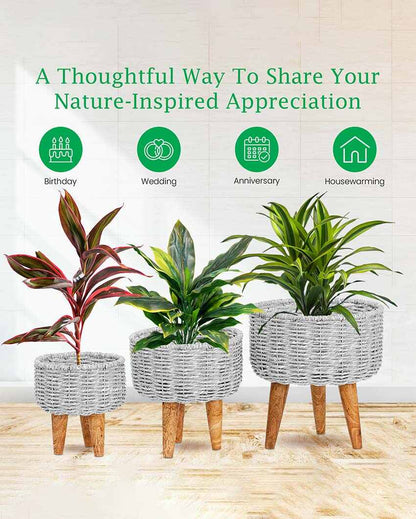 Hearth Jute Planter | Set Of 3 | Plant not included